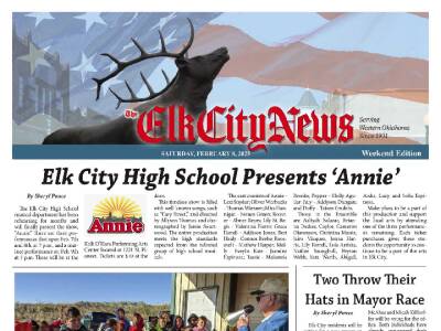 Sat. Feb  8, 2025 cover